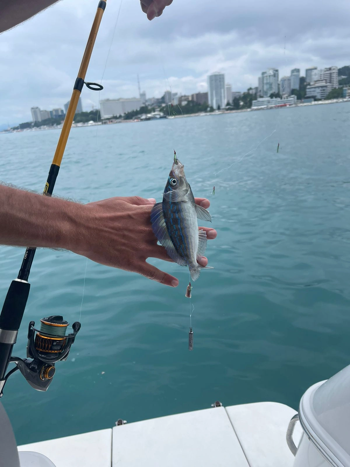 Рыбалка на яхте в Сочи — морской отдых с уловом