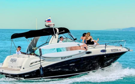 Sea Ray 275